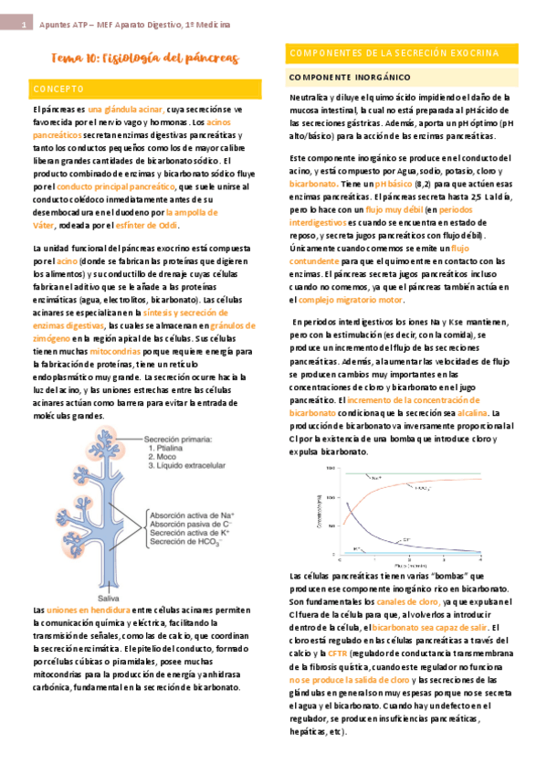 Miniatura del documento Tema-10-ap-digest-fisio.pdf