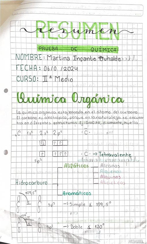 Miniatura del documento QUIMICA-ORGANICA.pdf