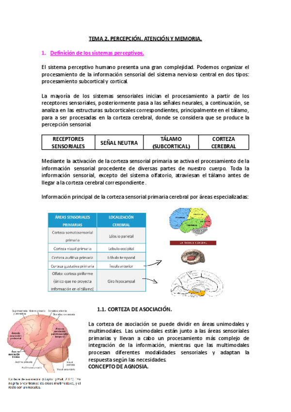 Miniatura del documento APUNTES-TEMA-2.pdf