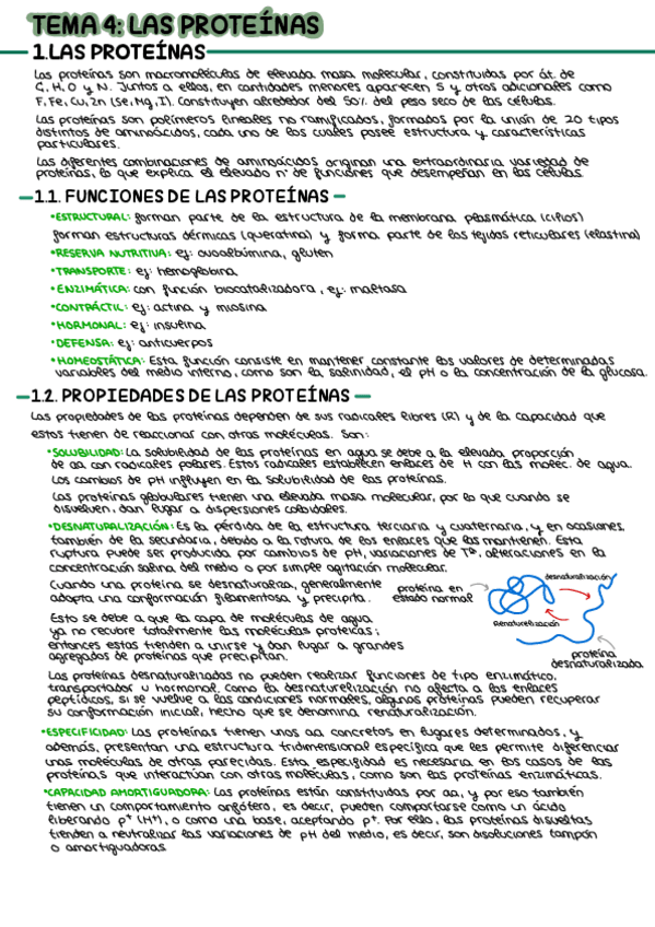 Miniatura del documento Tema-4-Las-proteinas.pdf