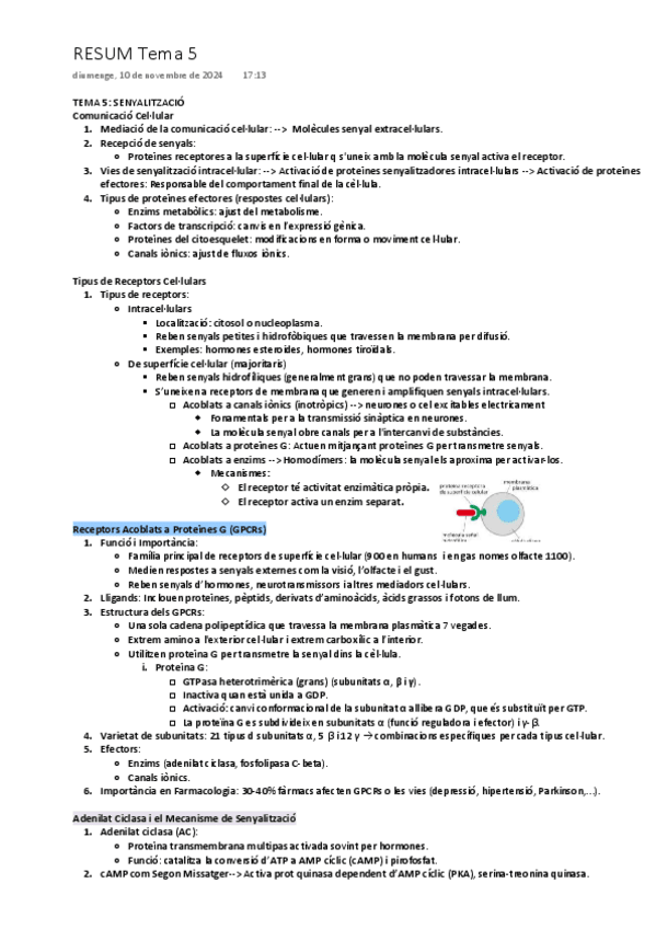 Miniatura del documento tema-5-senyalitzacio.pdf