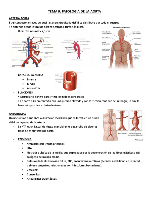 Miniatura del documento TEMA-9-CUIDADOS.pdf