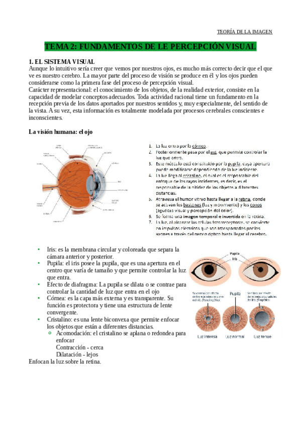 Miniatura del documento Tema-2-Teoria-de-la-Imagen.pdf