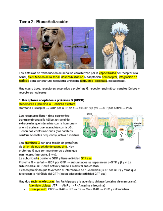 Miniatura del documento T2-Biosenalizacion.pdf
