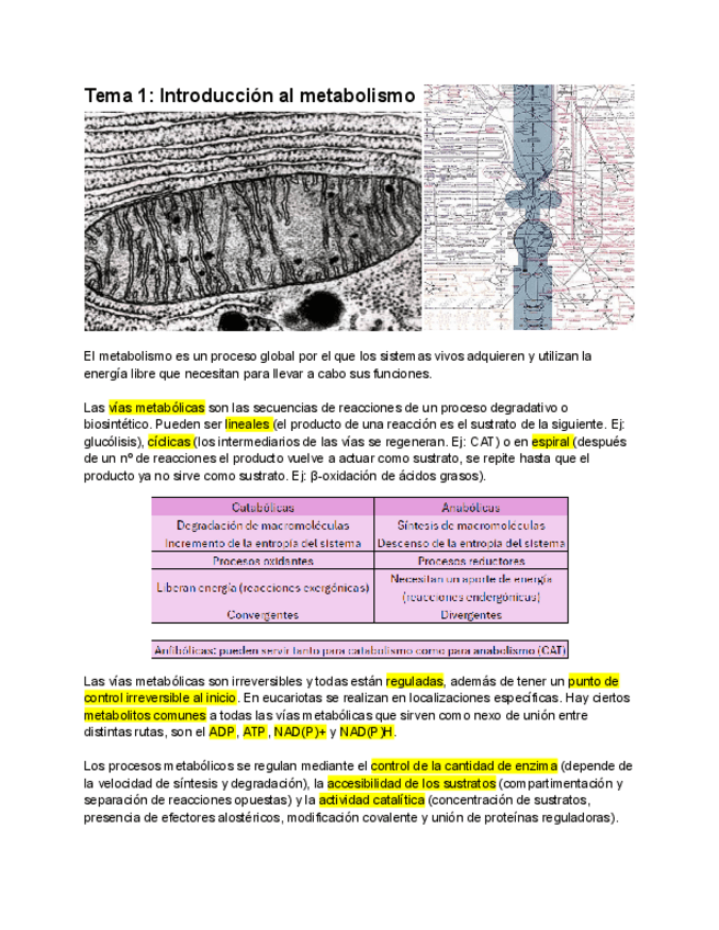 Miniatura del documento T1-Introduccion-al-metabolismo.pdf