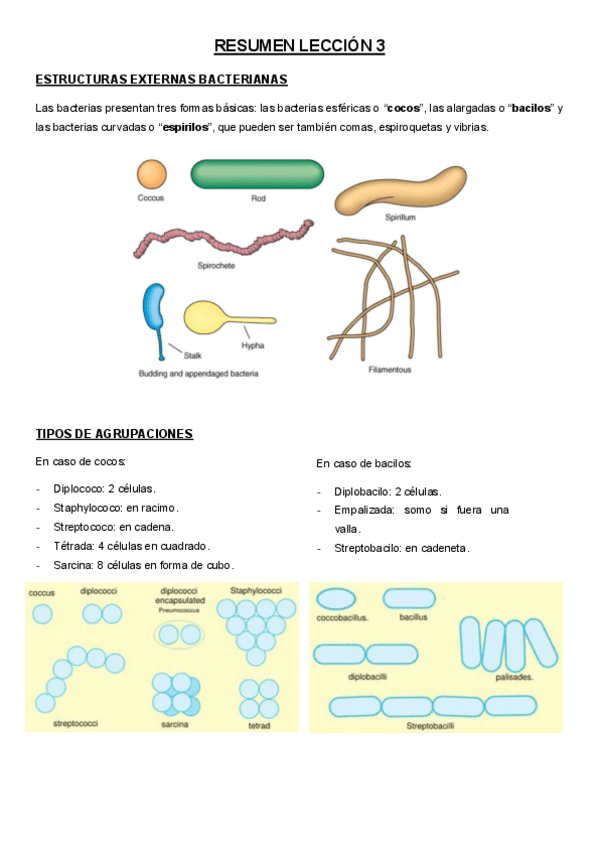 Miniatura del documento RESUMEN-LECCION-3material-de-examen.pdf