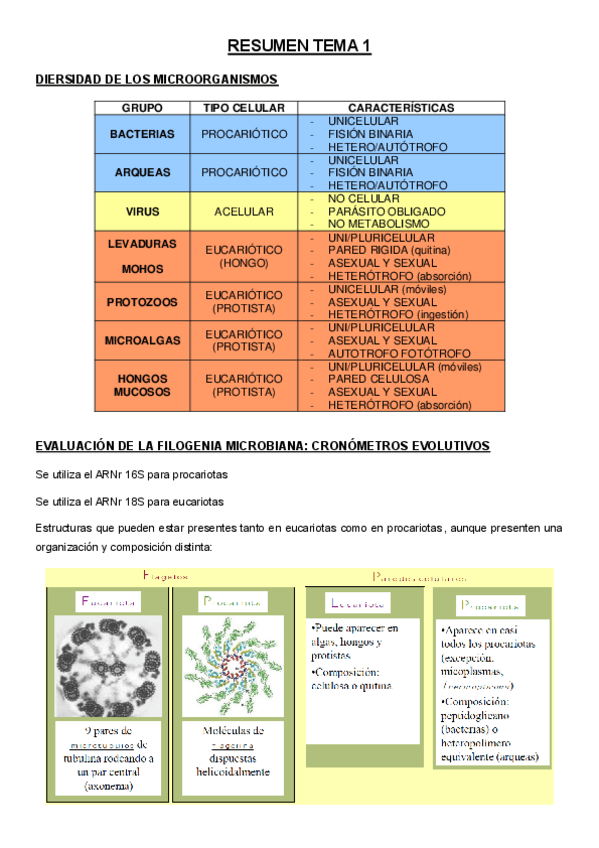 Miniatura del documento RESUMEN-TEMA-1material-de-examen.pdf