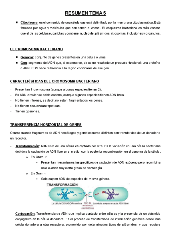 Miniatura del documento RESUMEN-TEMA-5material-de-examen.pdf