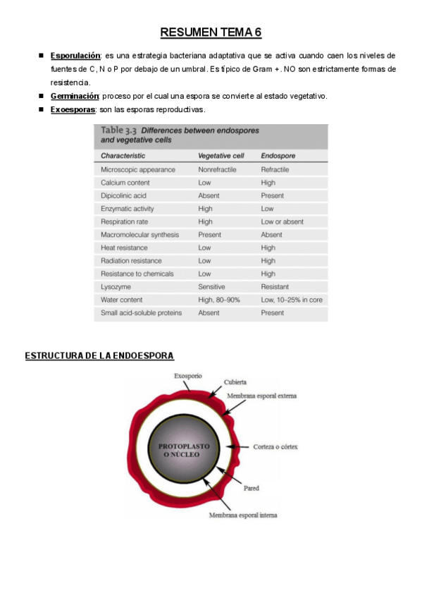 Miniatura del documento RESUMEN-TEMA-6material-de-examen.pdf