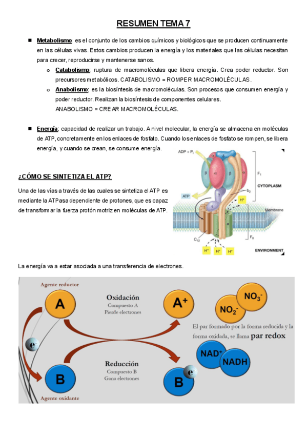Miniatura del documento RESUMEN-TEMA-7material-de-examen.pdf