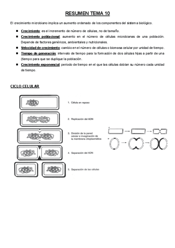 Miniatura del documento RESUMEN-TEMA-10material-de-examen.pdf