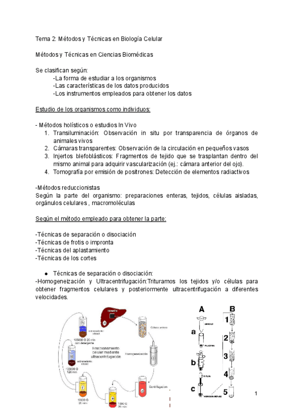 Miniatura del documento resumen-t2.pdf