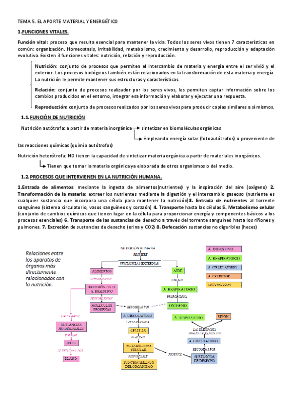 Miniatura del documento TEMA-5.El-aporte-material-y-energetico..pdf