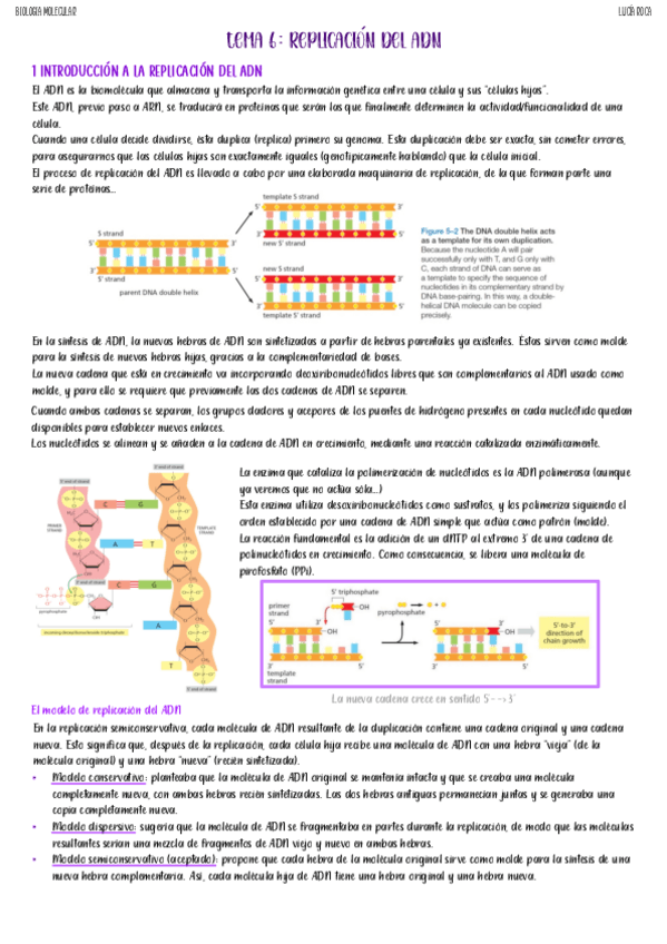 Miniatura del documento tema-6-biologia-molecular.pdf