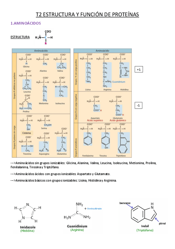 Miniatura del documento T2-Resumen.pdf