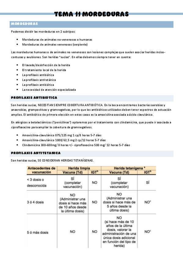 Miniatura del documento PATOLOGIA-QUIRURGICA-GENERAL-T11.pdf