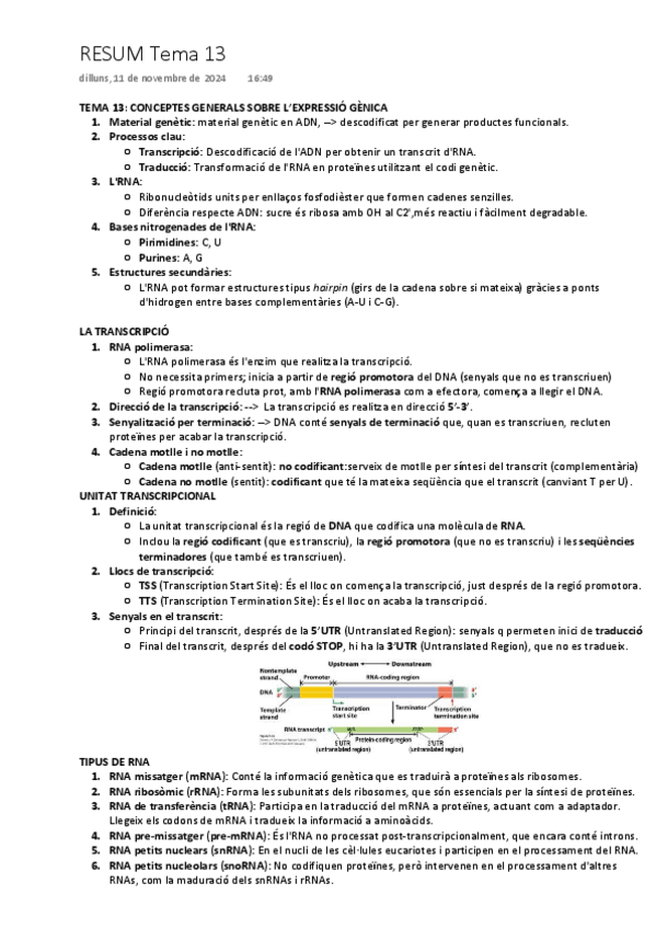 Miniatura del documento tema-13-conceptes-generals.pdf