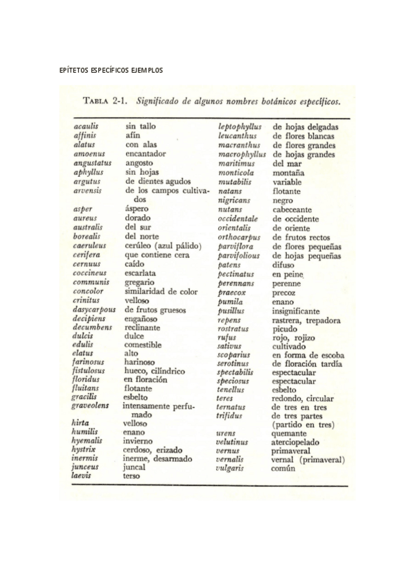 Miniatura del documento IMAGENES-IMPORTANTES.pdf