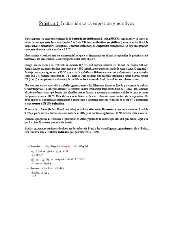 Miniatura del documento Parte-bioquimica-teoria.pdf