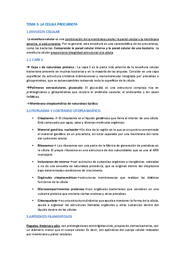 Miniatura del documento TEMA-3-LA-CELULA-PROCARIOTA.pdf