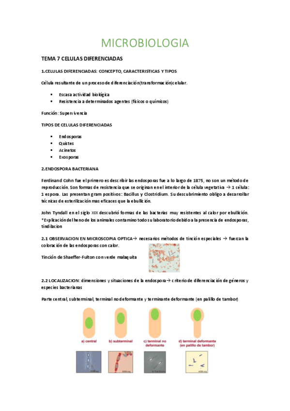 Miniatura del documento TEMA-7-CELULAS-DIFERENCIADAS.pdf