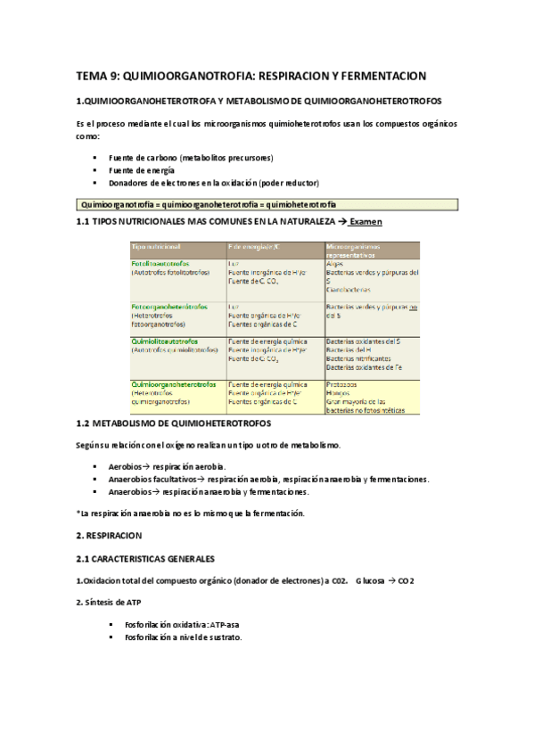 Miniatura del documento TEMA-9-QUIMIOORGANOTROFIA-RESPIRACION-FERMENTACION.pdf