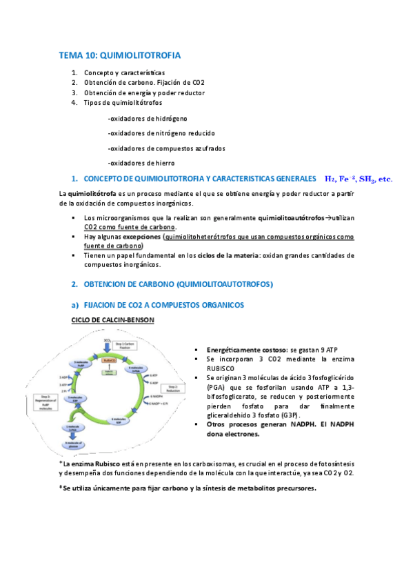 Miniatura del documento TEMA-10-QUIMIOLITOTROFIA.pdf