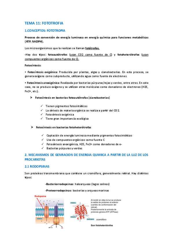 Miniatura del documento TEMA-11-FOTOTROPIA.pdf