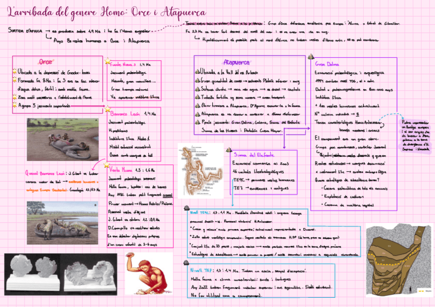 Miniatura del documento Esquema-tema-1-prehistoria-p.-Iberica.pdf