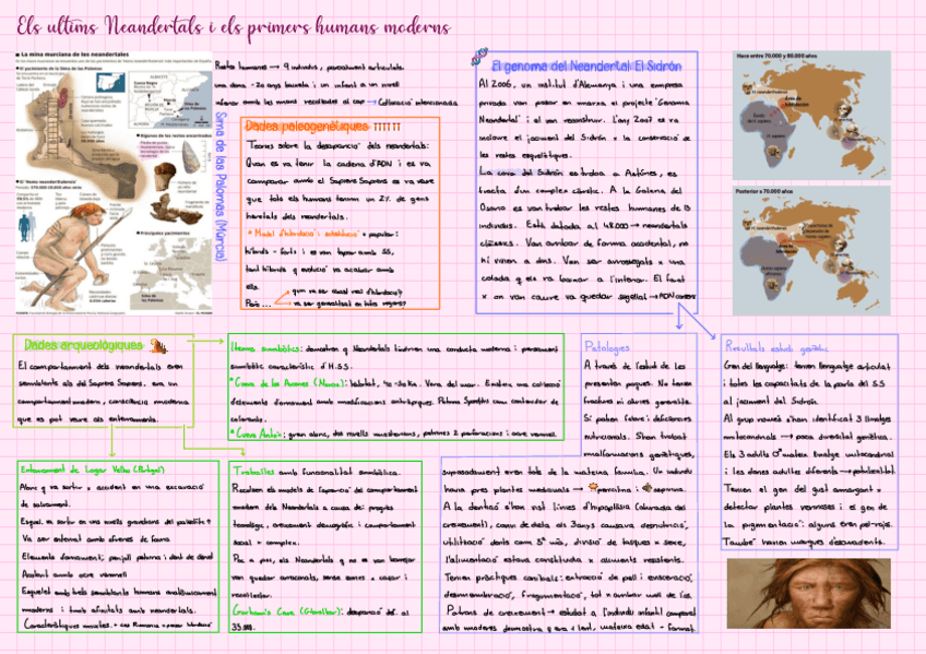 Miniatura del documento Esquema-tema-2-prehistoria-p.-Iberica.pdf