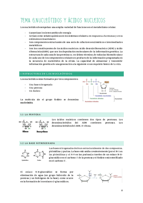 Miniatura del documento Apuntes-bioquimica-parte-2.pdf