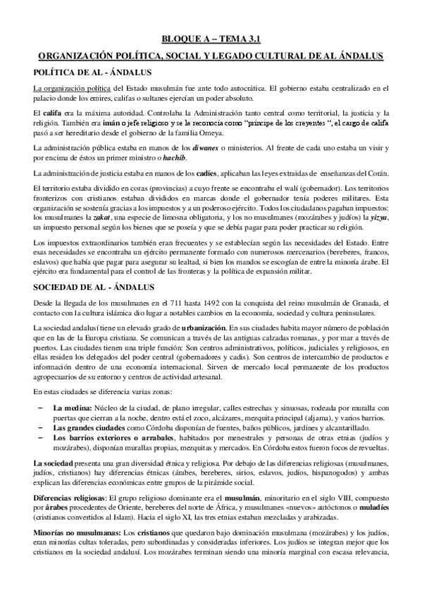 Miniatura del documento ORGANIZACION-POLITICA-SOCIAL-Y-LEGADO-CULTURAL-DE-AL-ANDALUS.pdf