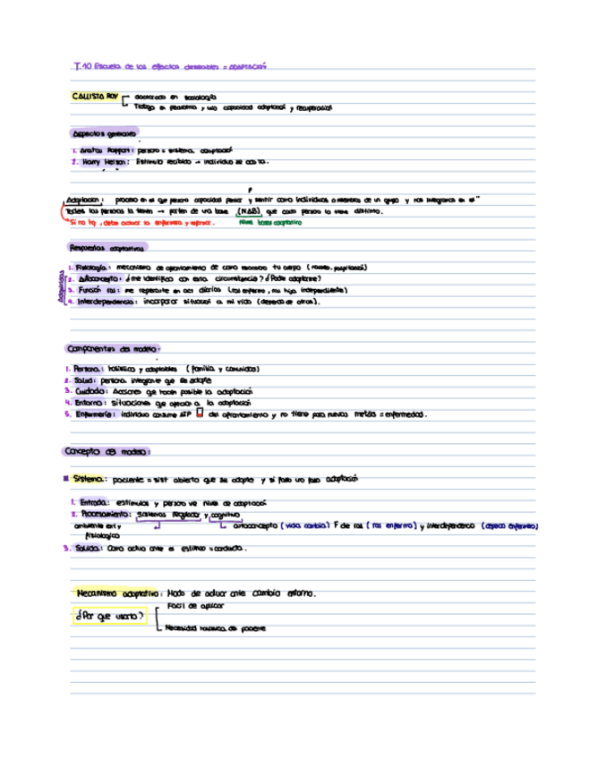 Miniatura del documento Tema-Callista-Roy--Leninger.pdf