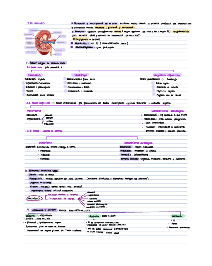 Miniatura del documento T24-urinaria.pdf