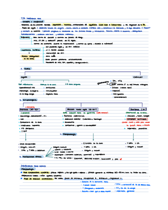 Miniatura del documento T25-Insuficiencia-renal.pdf