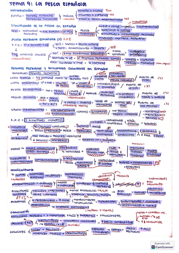 Miniatura del documento ESQUEMA-PESCA-ESPANOLA.pdf