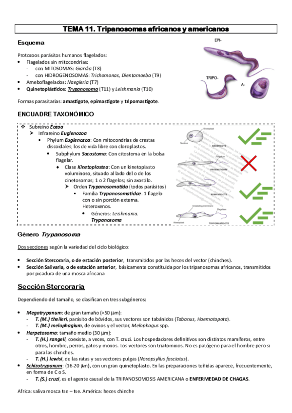 Miniatura del documento parasitologia-11-a-16.pdf