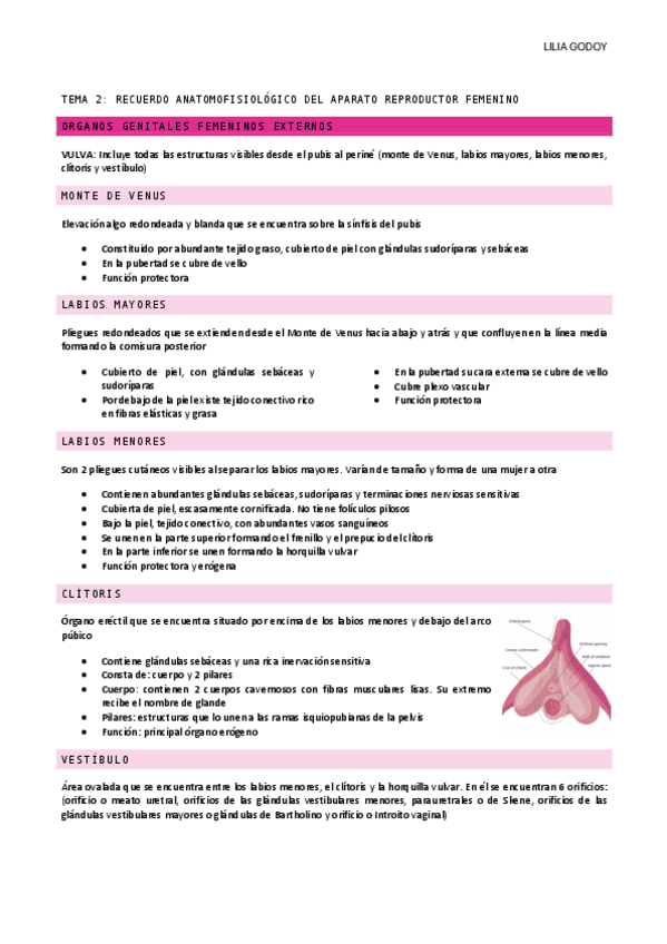 Miniatura del documento TEMA-2-con-modificaciones.pdf