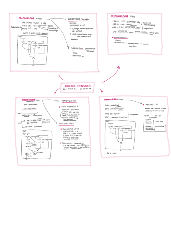 Miniatura del documento Resums-virologia.pdf