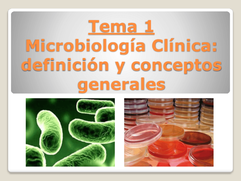 Miniatura del documento Tema-1.pdf