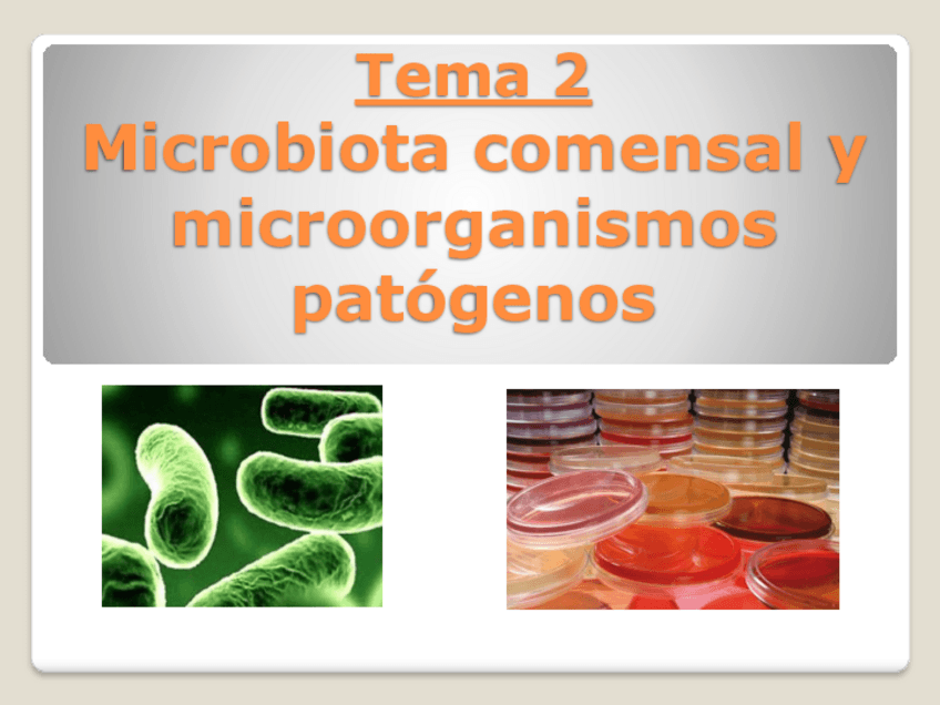 Miniatura del documento Tema-2.pdf
