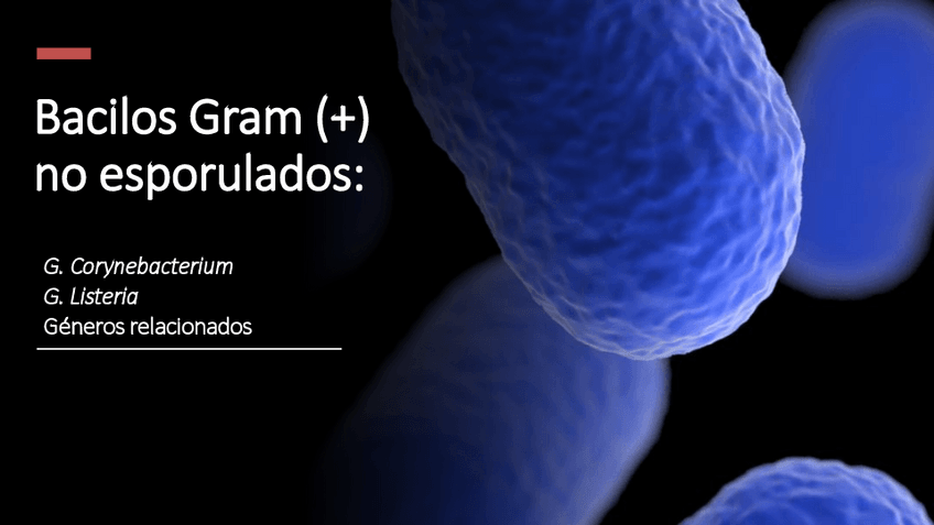 Miniatura del documento Tema-7.-Bacilos-Gram--no-esporulados.pdf