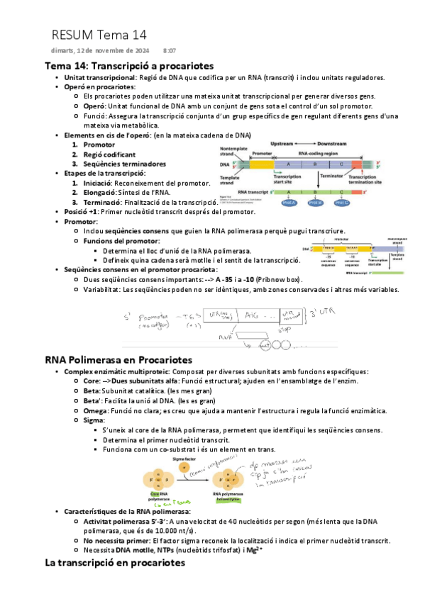 Miniatura del documento tema-14-transcripcio-procariotes.pdf