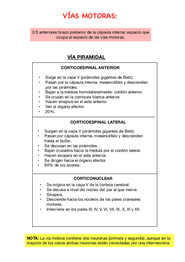 Miniatura del documento T24.-Vias-motoras.pdf