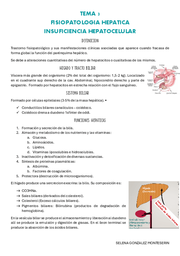 Miniatura del documento TEMA-3-pdf-digestivo.pdf