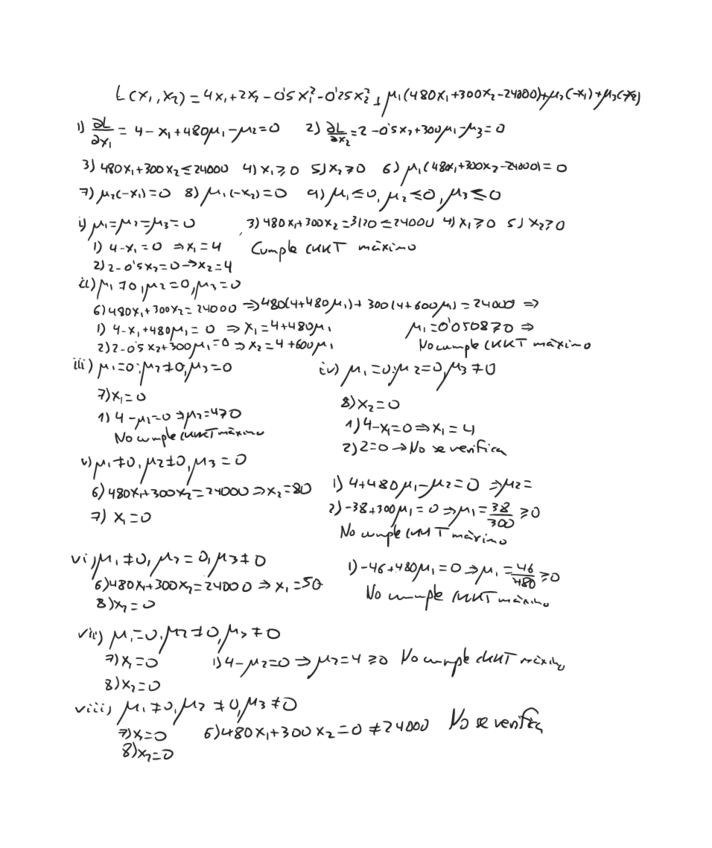 Miniatura del documento Ejercicio-PNL.pdf