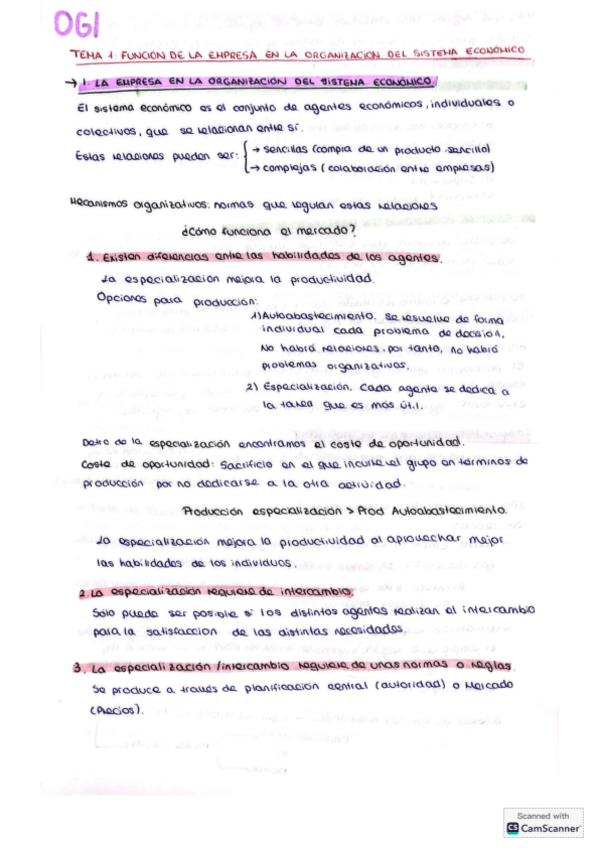 Miniatura del documento Resumen-SOLO-TEORIA-tema-1-OGI.pdf