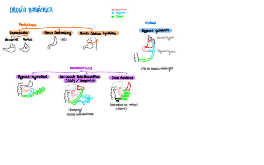 Miniatura del documento Esquemas-Digestivo.pdf