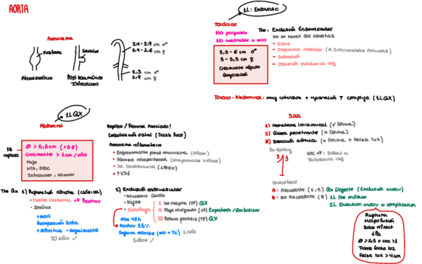 Miniatura del documento Esquemas-Vascular.pdf