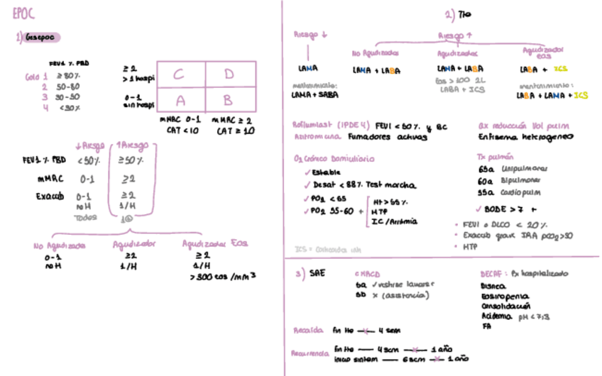 Miniatura del documento Esquemas-Neumo.pdf